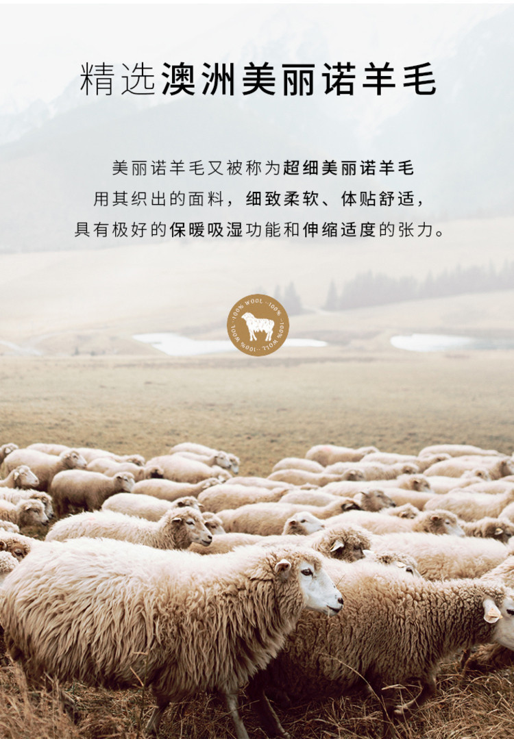 羊毛100图.jpg