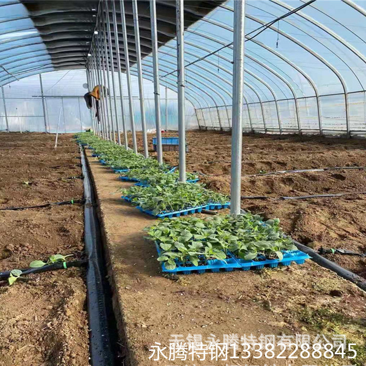 温室大棚骨架 供应农用连栋大棚骨架 永州定制镀锌大棚骨架