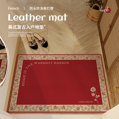 入戶門地墊高級感玄關進門口防滑可擦洗防水地墊耐髒2024新款地墊