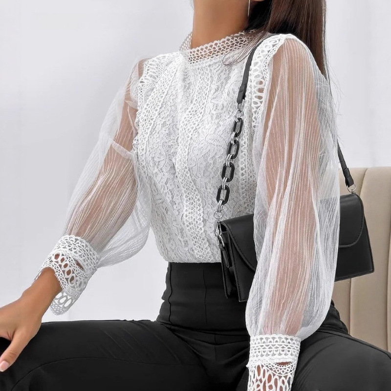 2025 New Cross-Border Export New Elegant Pure Color Mesh Long-Sleeved Puff Sleeve Round Neck Top Women's Lace Shirt 2025 New Cross-Border Export New Elegant Pure Color Mesh Long-Sleeved Puff Sleeve Round Neck Top Women's Lace Shirt