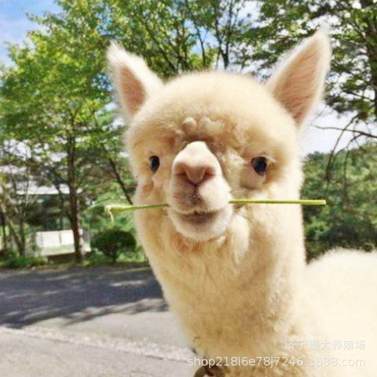 66677486dcdbbb2614f5dfe388998d