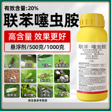 20%���������x���S�l�������x�E�R�wʭľʭ����ā�x���x��500��
