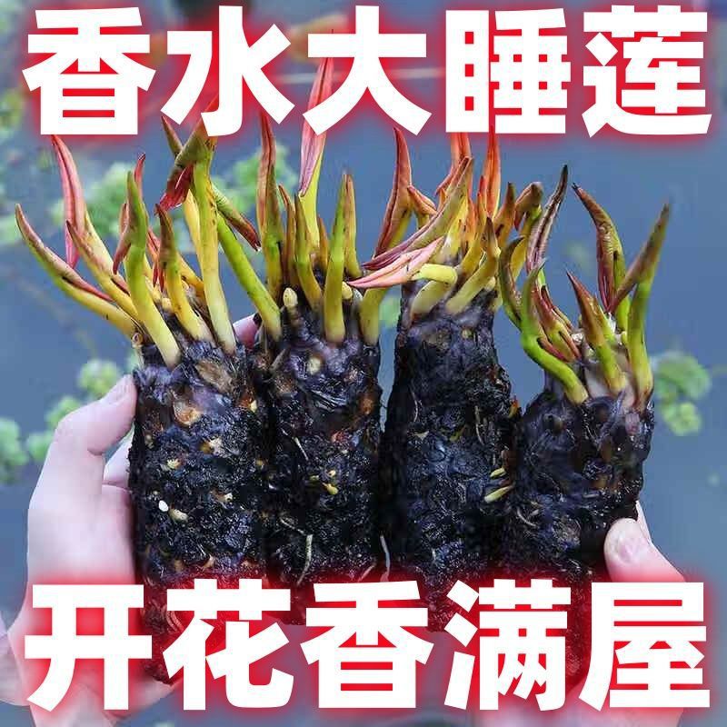 b3afea3b-5d66-41cf-a709-98da358ea28d.jpe