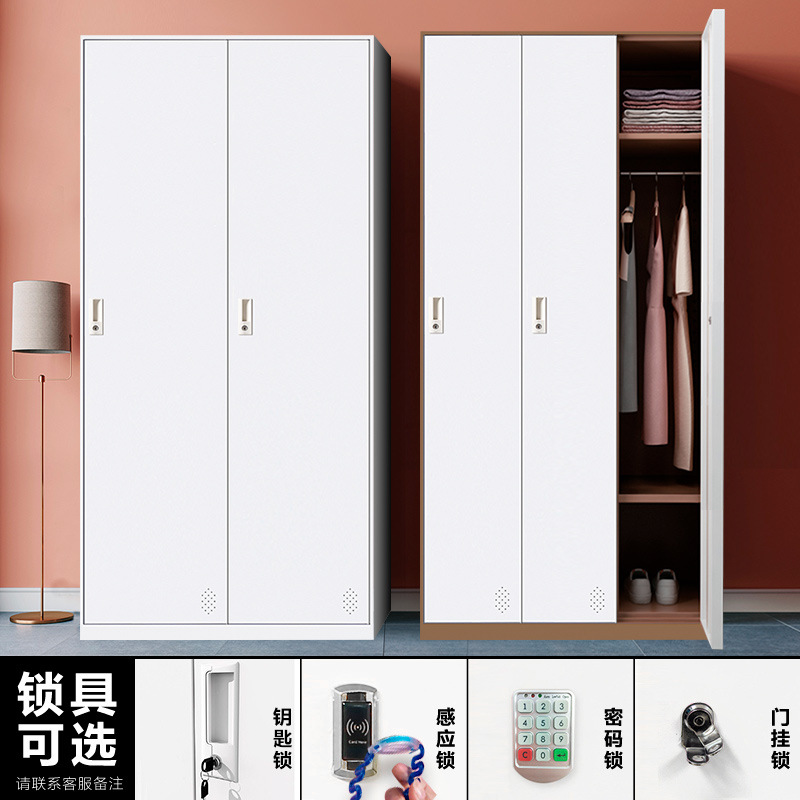 Two-door employee lockers, dormitory storage cabinets, office hanging and changing cabinets, beauty salons, fitness centers, tin lockers