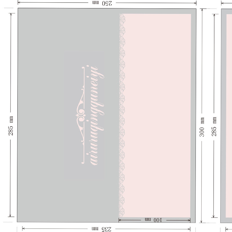 Airu sexy lingerie one-piece delivery change packaging gift packaging zipper bag delivery wholesale special link