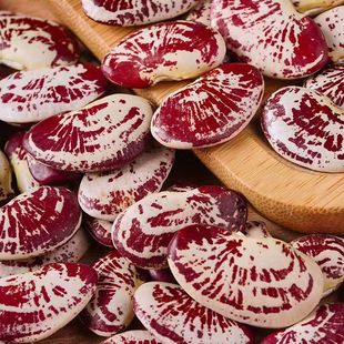 ��Ϻɰ������I����Ԫ����ܿ�������r���Ԯa�������s�Z