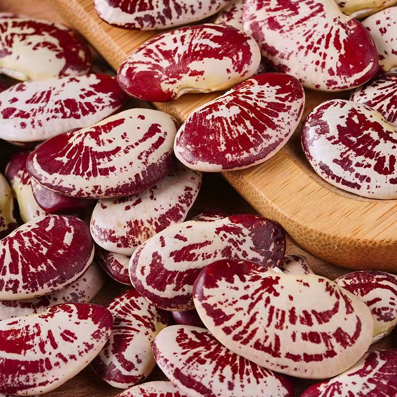 云南荷包豆大肾豆状元豆花芸豆花豆农家自产豆类五谷杂粮