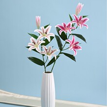 4�^3DƤ�ٺ� ��c�Ҿ��b����zƬ��ˮ�ٺϻ������쾰С�ѻ�����