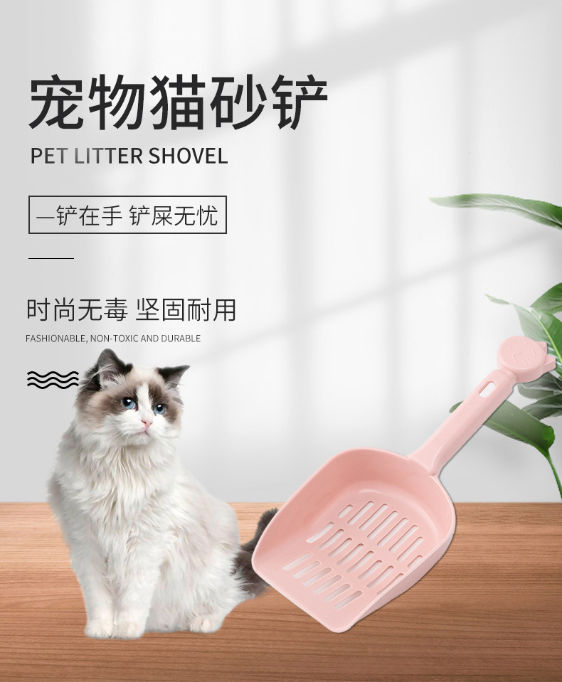 Pet details page 0076_01.jpg