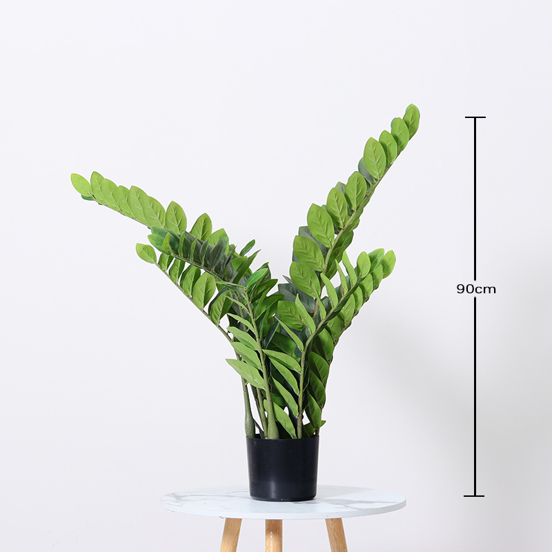 Money hojas en maceta-90cm