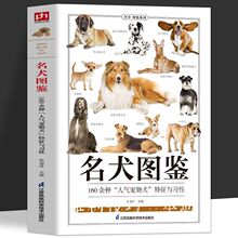 正版 名犬图鉴 宠物狗喂养常识饮食护理宠物犬特征与习性大全书籍