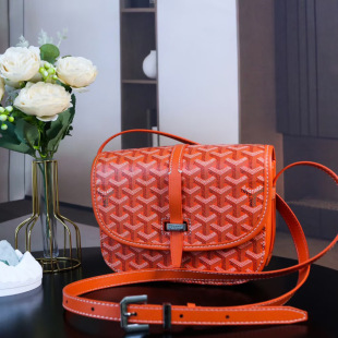 Goyard���Ź����¿���Ůͬ���R�������ŵ͹ŝMӡ�μ�б���]���