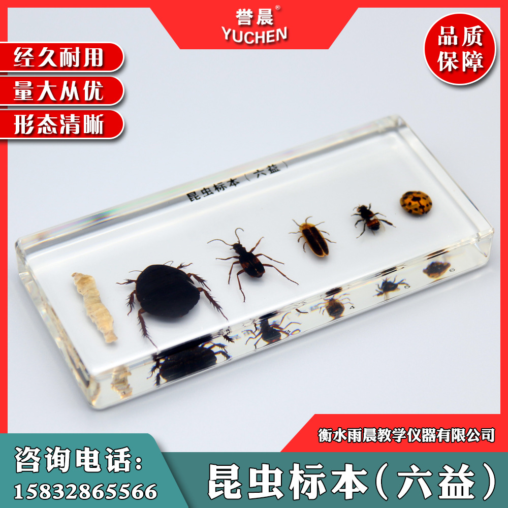 SI-1317昆虫标本六益六害12种实心有机包埋认知教具专业教学仪器