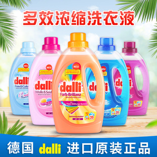 Dalli German Dalli Laundry Detergent Enzyme Concentrated Color Protection Decontamination Low Foaming Hand Wash Machine Washable Laundry Detergent Wholesale