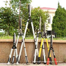 @ˇ@޼޼GhƺMڵľް]