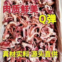 小魷魚須新鮮速凍魷魚頭八爪須批發凈重無冰衣燒烤餐飲家庭食材
