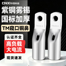 CNXI华西科技TM窄头窥口铜鼻子紫铜国标加厚窄边线鼻子铜接线端子
