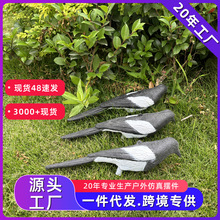 跨境爆款园林装饰鸟塑料喜鹊打猎诱饵假鸟厂家批发