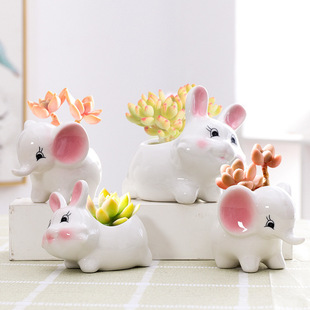 ��ͨ�ɐ��ȶ��⻨��ֲ�＃���մɄ��⺆�s������������Ĵָ�����l