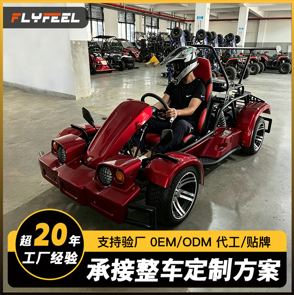 Kart Todoterreno UTV 200cc de Hierro y Plástico con Transmisión Automática para Pistas y Todo Terreno image 1