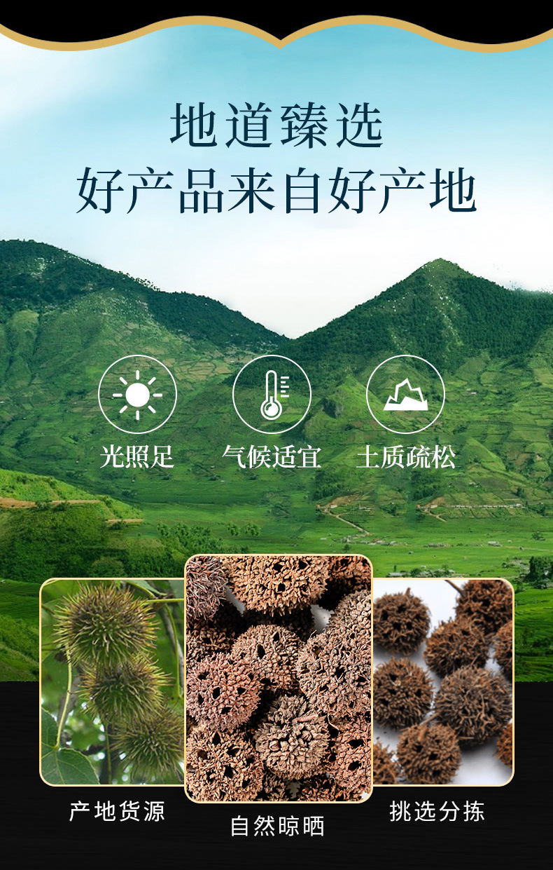 Lu Lu Tong (Liquidambar formosana Fruit) — Dried TCM Herb, 500g overview