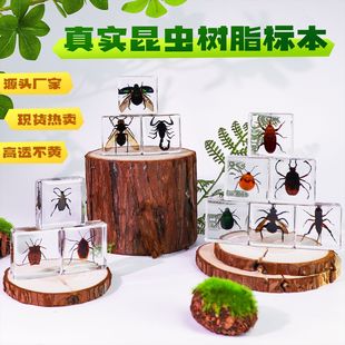 �挍���x�˱���͸����֬��Ʒ�|���x�������ϐ��֩����՘˱��[��