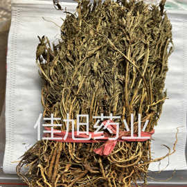 包邮批发 水灵芝 水黄连 青鱼胆草新货