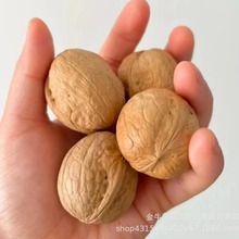 新疆薄皮核桃云南麻子核桃坚果零食批发一手货源跑江湖地摊展会