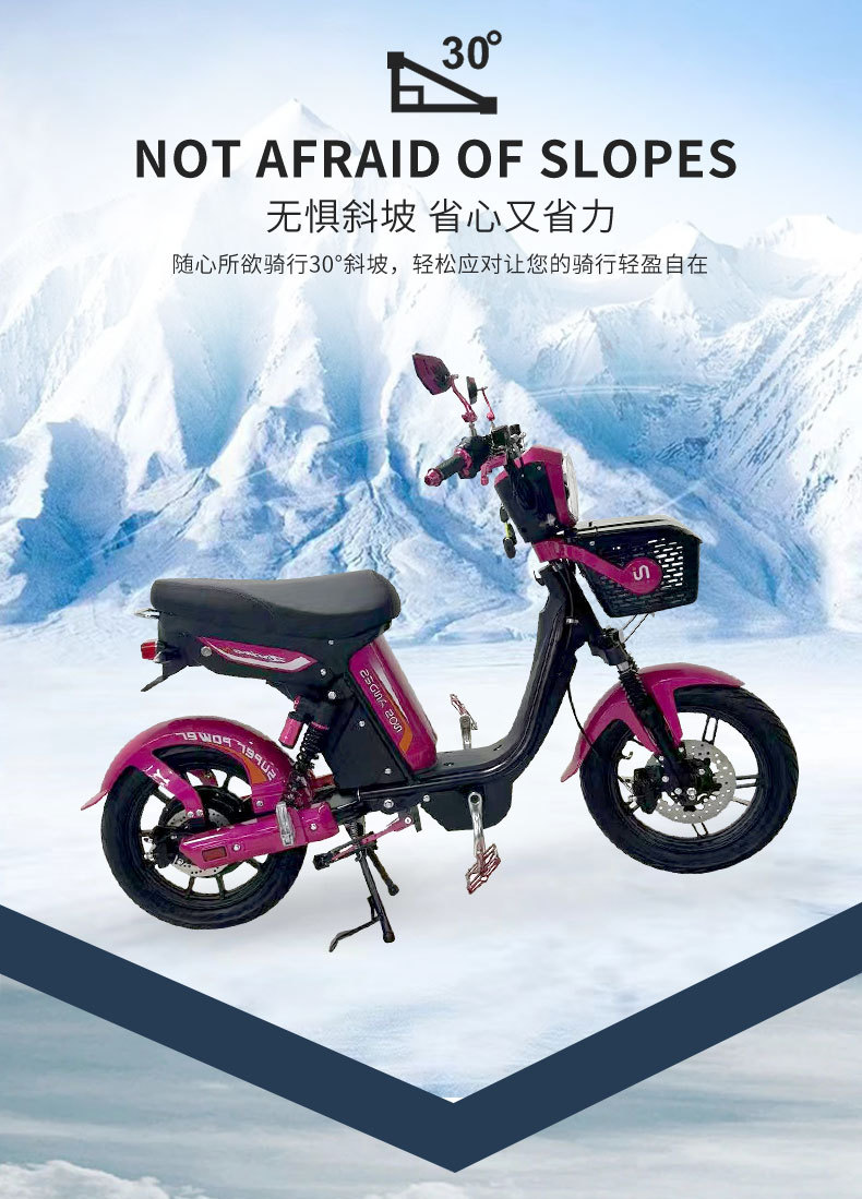 New Zealand Full-Container Electric Motorcycle 48V High-Power Foreign Commuter Small Cyclone Beach Scooter Electric Vehicle Cross-Border