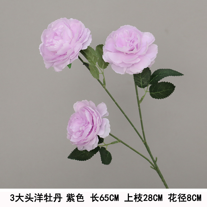 3개의 큰 모란