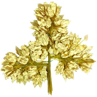 �����Ř��~֦������~�Ӽ٘��~�̈��Ƶ���ع�����̨�@���b���