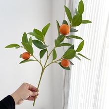 ����ֲ�����ӎ����٘�֦�����b��ӹ��������҃�ů�Ӳ廨�[�OƷ