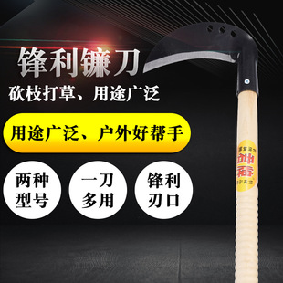 �i��h��砵��r�ø�ݵ��@�ֳ��ݿ��俳�񵶑�����~��ឳ���砵�