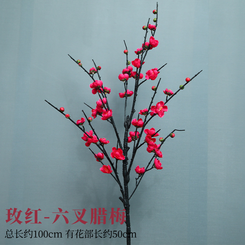 여섯 갈래의 장미 붉은 윈터스윗