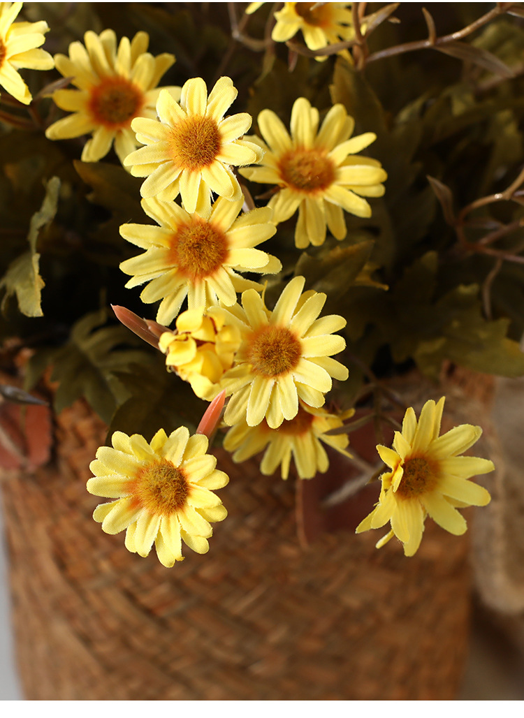 未标题-1-恢复的_12