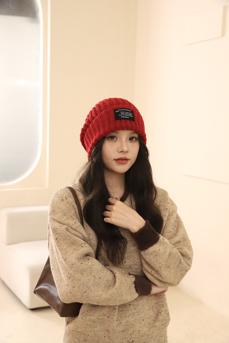 Lana oversize tinta unita per autunno e inverno, pile lavorato a maglia, versione coreana, coppia femminile all'aperto, escursioni calde_voghion.com