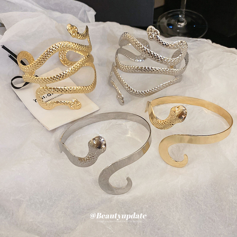 Brazalete de serpiente de doble cabeza envolvente de viento frío de metal europeo y americano, pulsera de todo fósforo de personalidad de alta gama, brazalete de lujo ligero transfronterizo femenino
