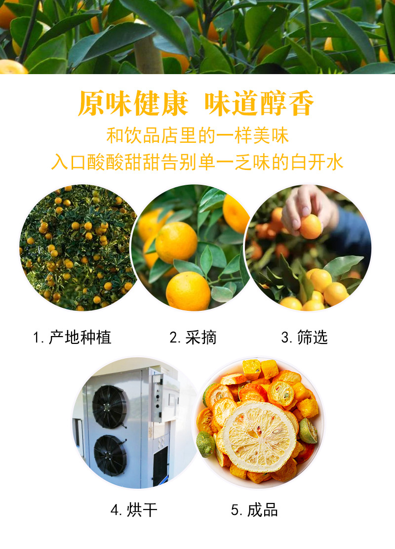 Lemon, Green Kumquat & Passion Fruit Cold-Brew Tea — Freeze-Dried Fruit Herbal Blend, 500g Loose preparation