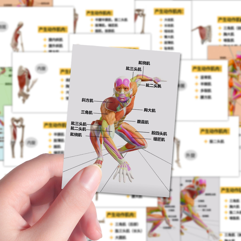 Physiological sticker