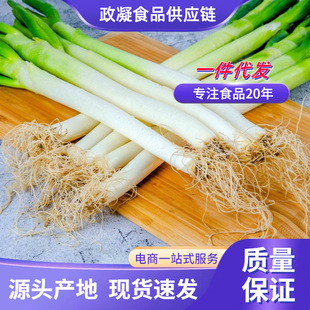 ɽ�|���[���r�߲�5���b���[�F�U���[�������L��ë�[պ�u���[���]