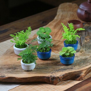 ާ�ֲ��С��������ֲ��΢�ͺ��B�k���ҾGֲ�҃Ȼ��ܻ���������