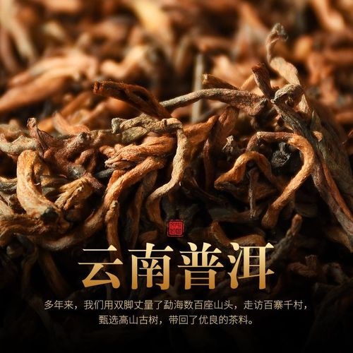 茶叶礼盒馨诺小青柑普洱茶叶礼盒装陈皮普洱大师制作新会跨境电商