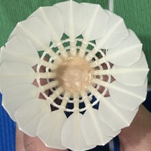 �����S���l��CJ-05��ë�ʹ�ͺ�ܛľ��ë��12ֻ���־㘷������