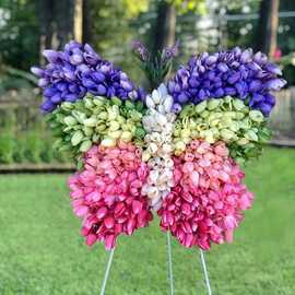 花惹草跨境Tulip Butterfly wreath郁金香蝴蝶花环母亲节门前花环