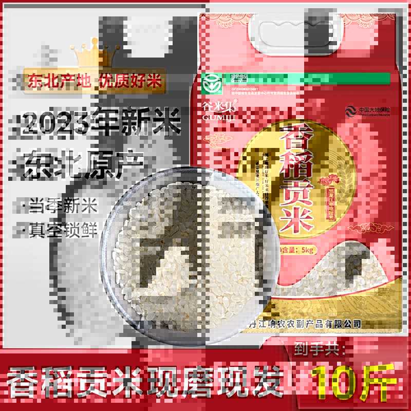 향미공물 - 5kg - 향긋한 둥근 곡물로 쌀이나 죽으로 만들 수 있습니다.