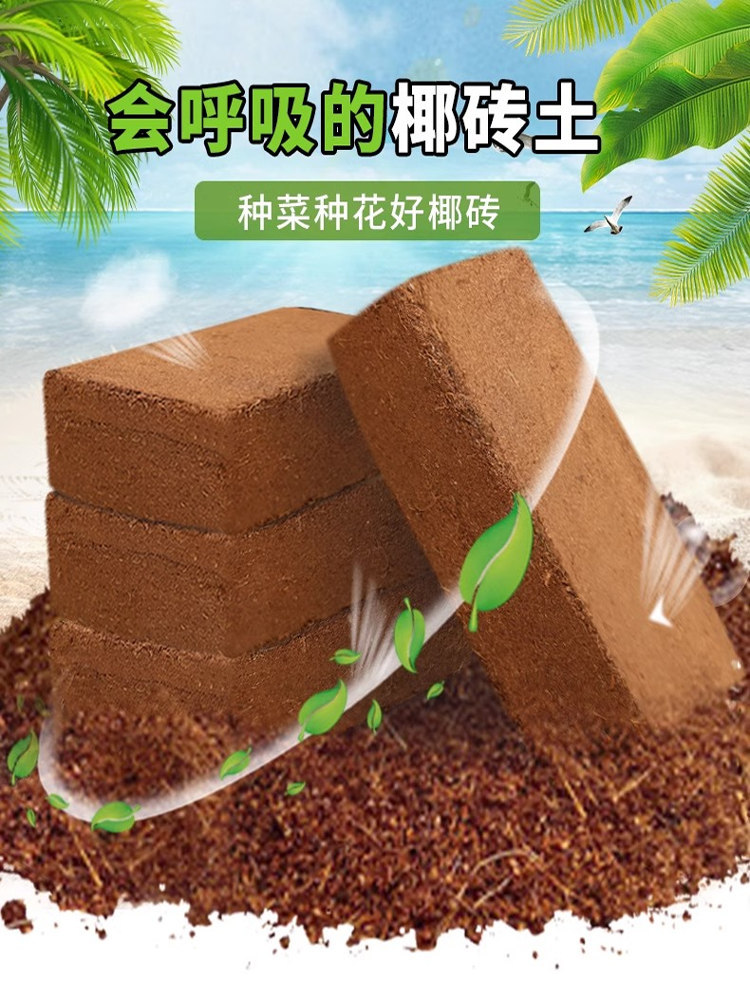 椰砖营养土养花通用型椰糠植物花土泥土土壤乌龟冬眠大块椰饼