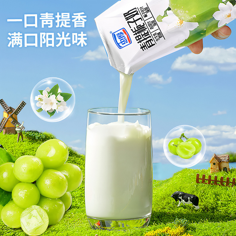 忠厚青提栀子牛奶整箱儿童营养早餐奶饮品/盒酸性乳饮料|undefined