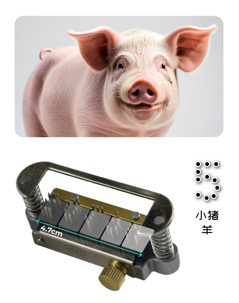 耳刺钳_C.jpg