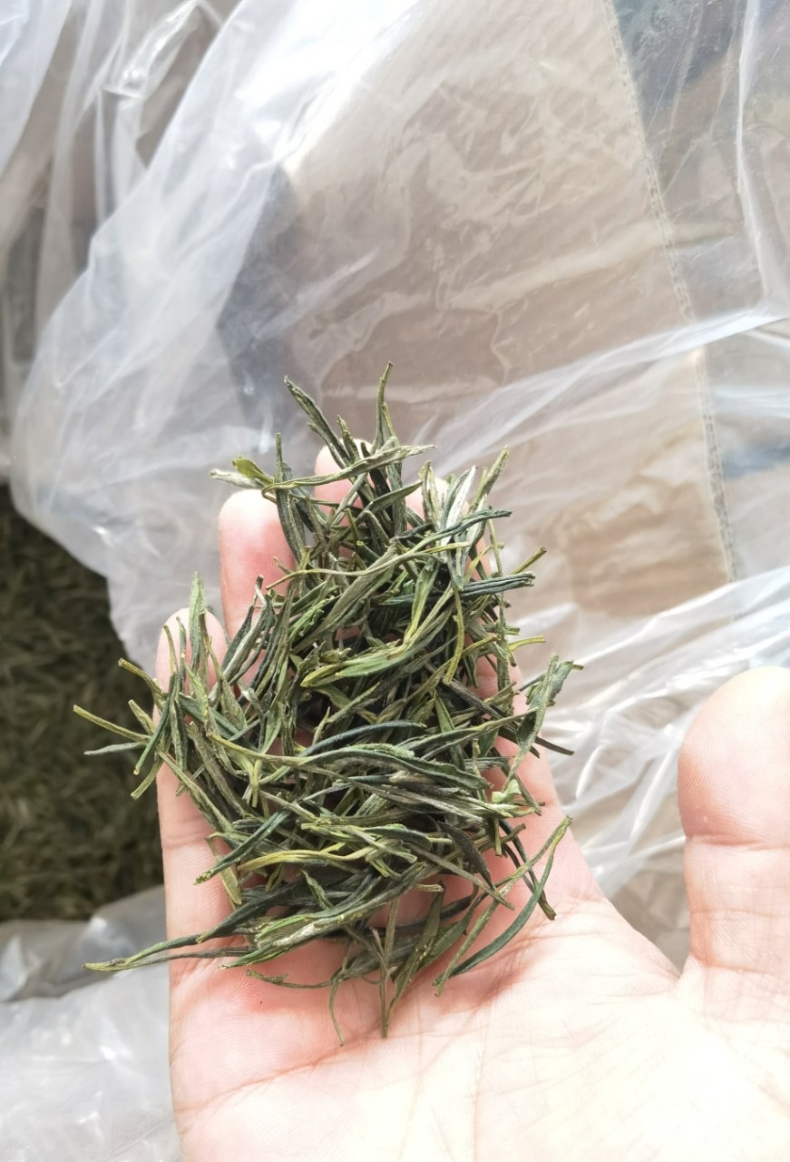 Lu An Gua Pian Green Tea 2026 Spring Pre-Rain Harvest Anhui Origin 250g Loose Leaf specifications