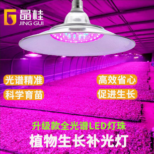 led���I��ֲ���a�������t�{���V���Ҳ�ݮ���绨���߲˴����҃�